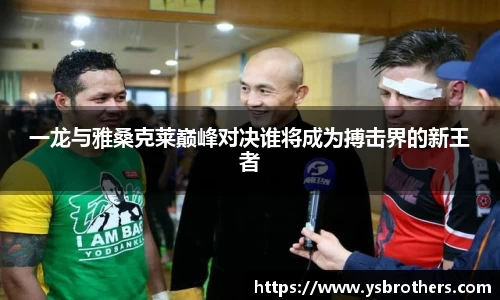 一龙与雅桑克莱巅峰对决谁将成为搏击界的新王者